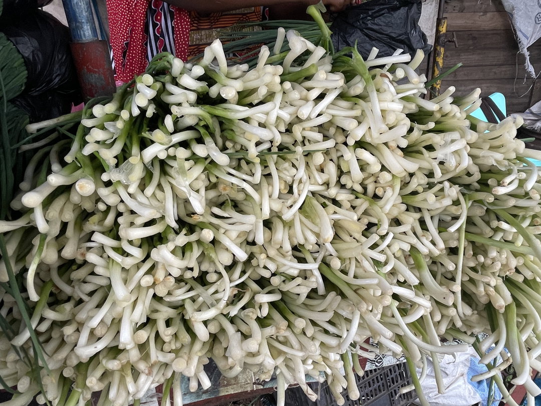 Spring onions