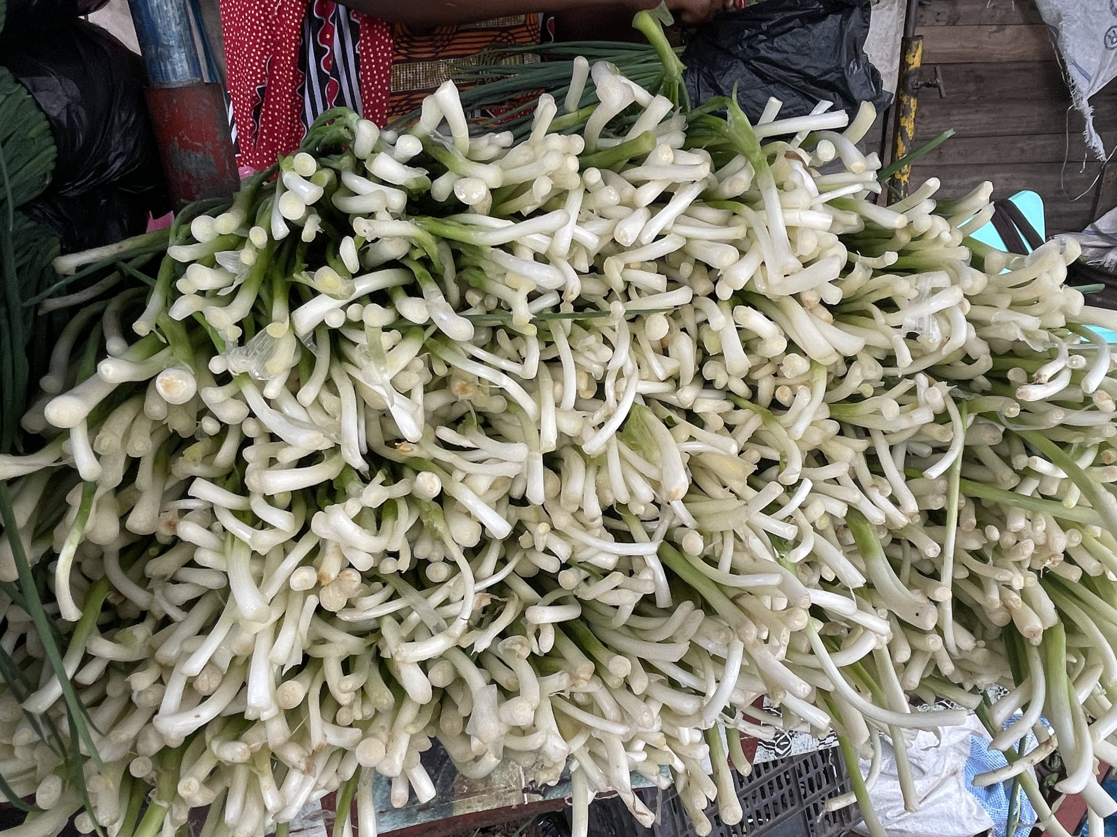Spring onions