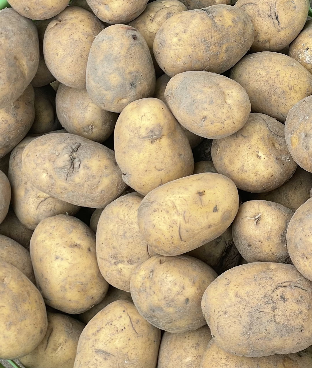 Sweet potatoes 