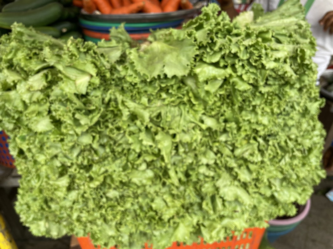 Lettuce