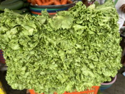 Lettuce