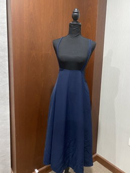 Ladies Dress