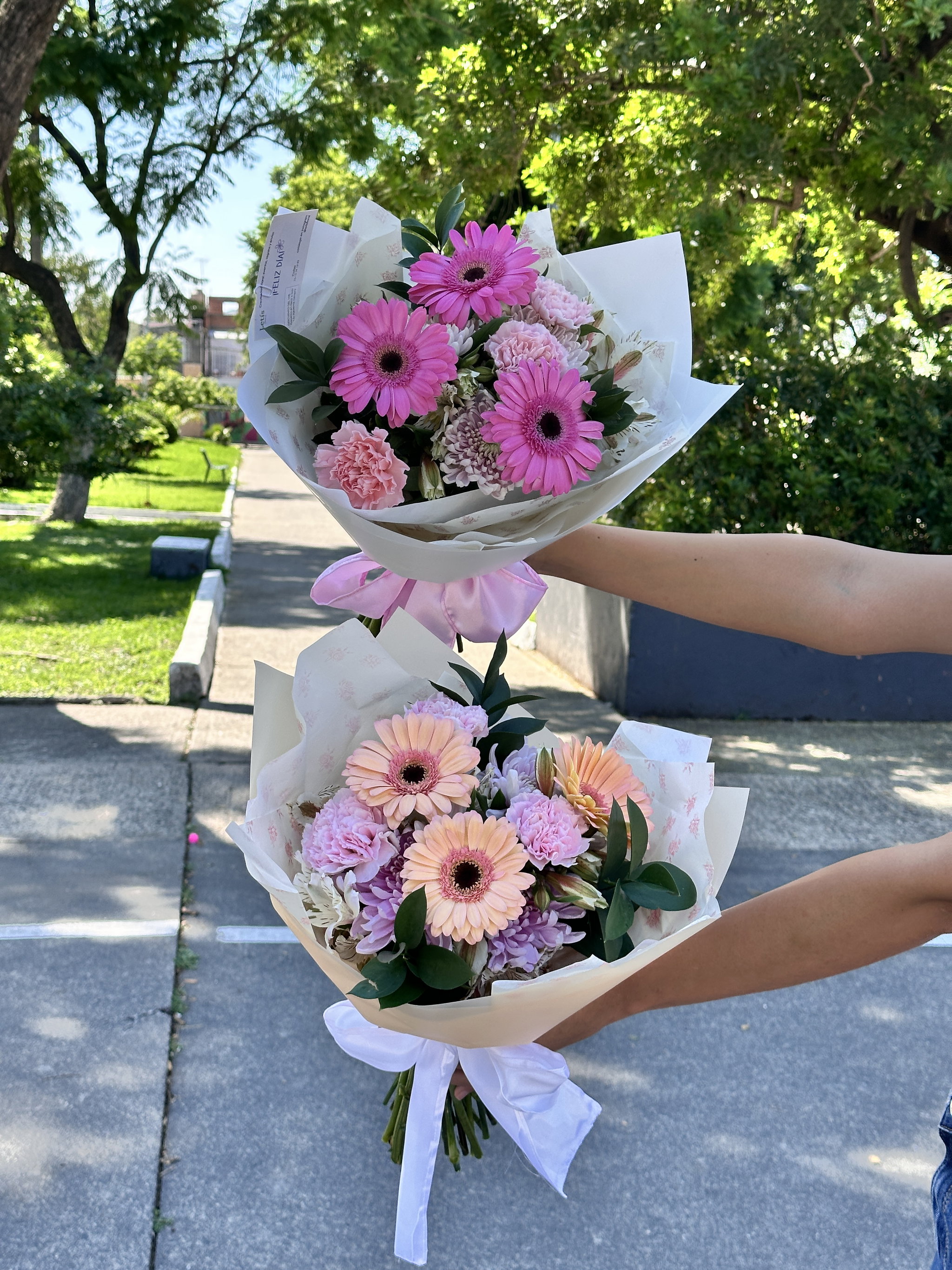 3 Gerberas _1
