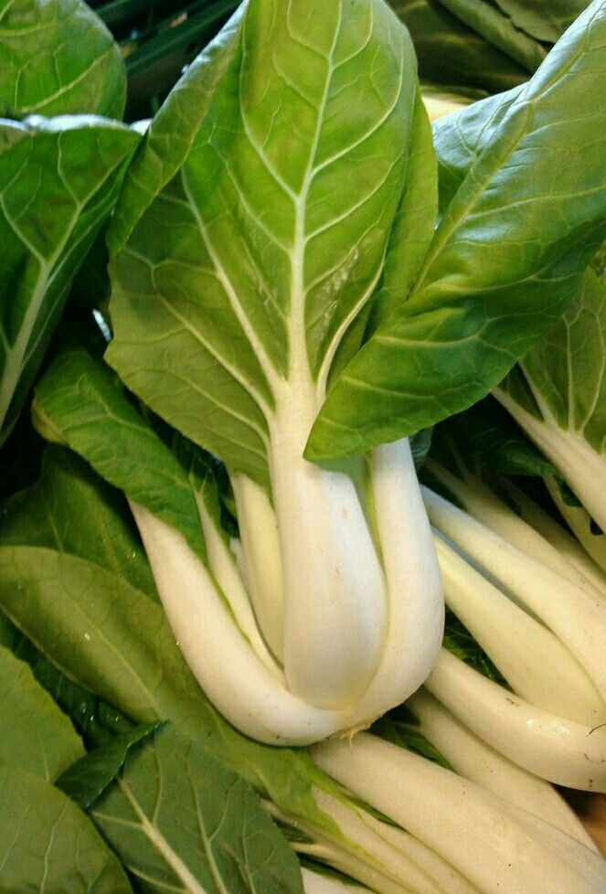 Bok choy | Mostaza_0