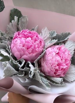 Peonias 