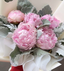 Peonias 