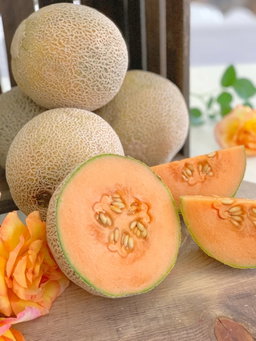 Melon