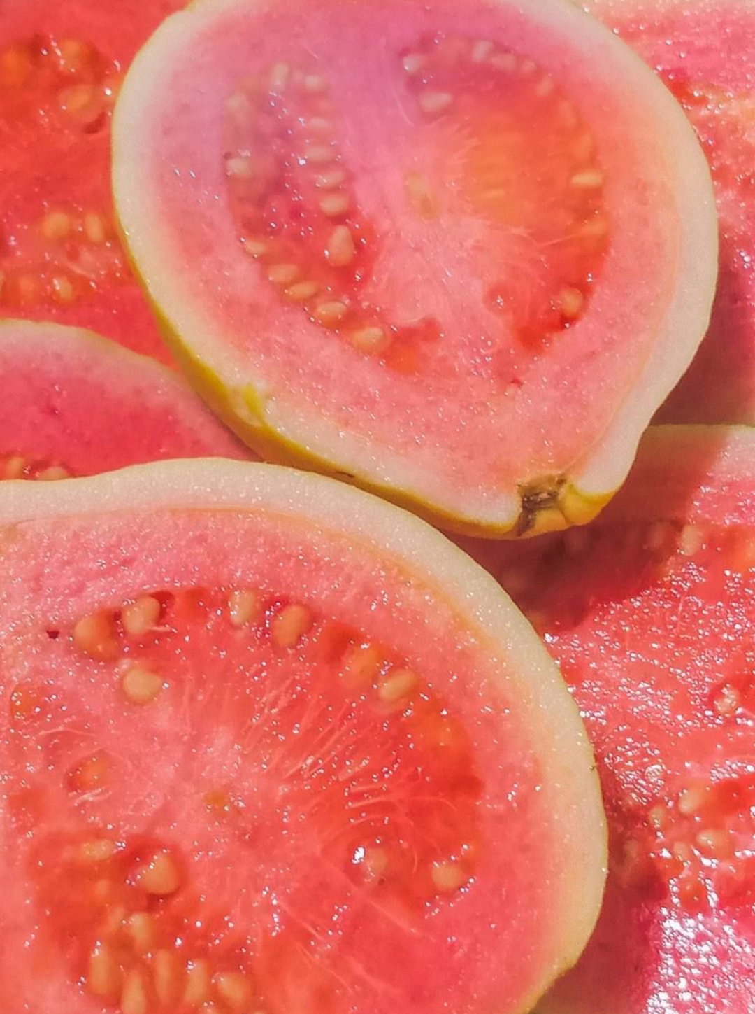 Guayaba Rosada | Pink Guava