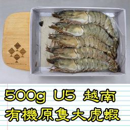 500g U5 越南有機原隻大虎蝦