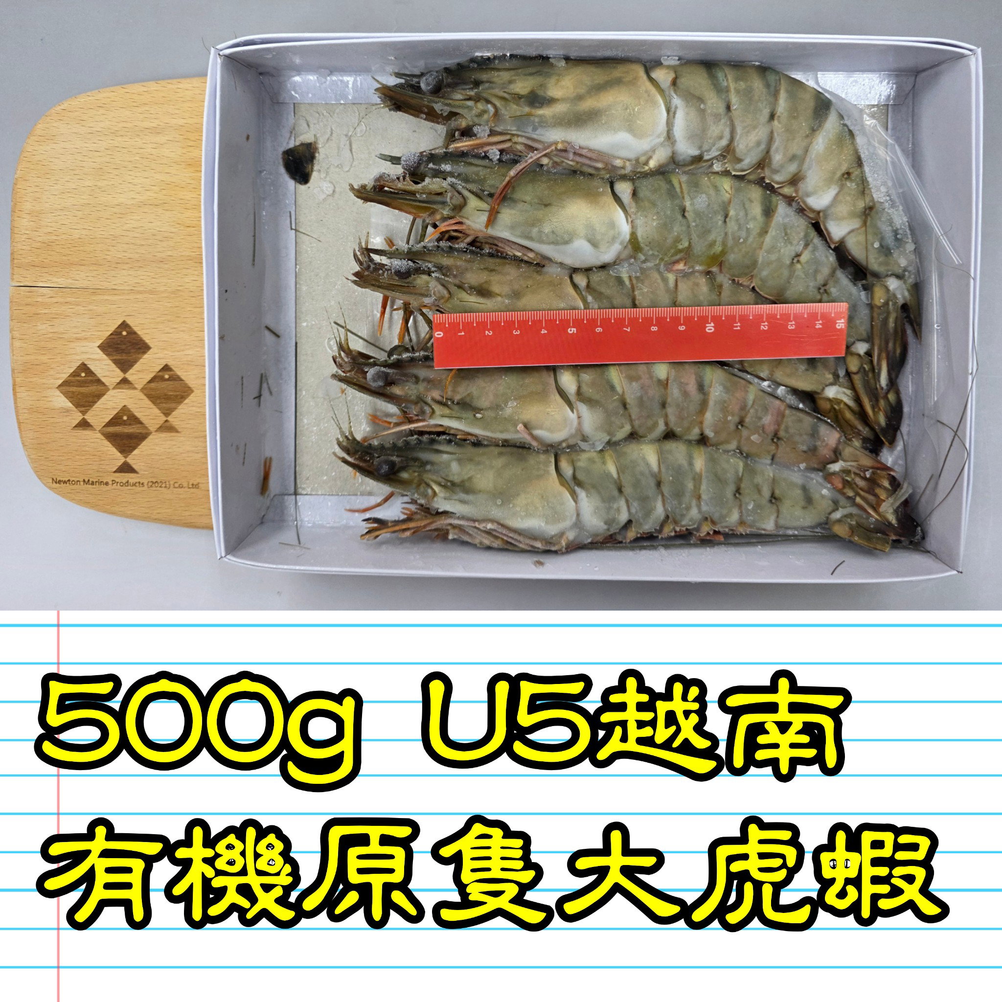 500g U5 越南有機原隻大虎蝦_2