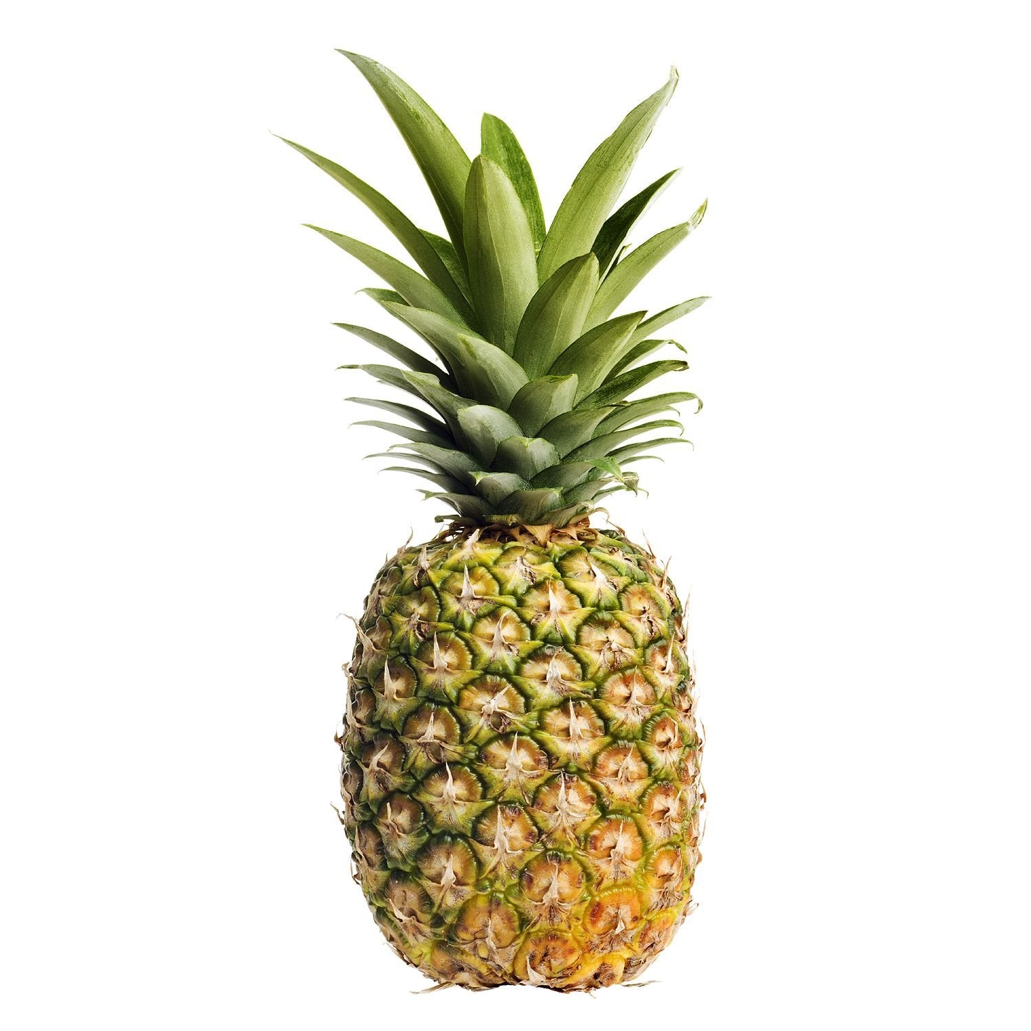 Pineapple _0