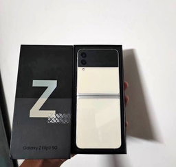 Samsung  Z Flip 3