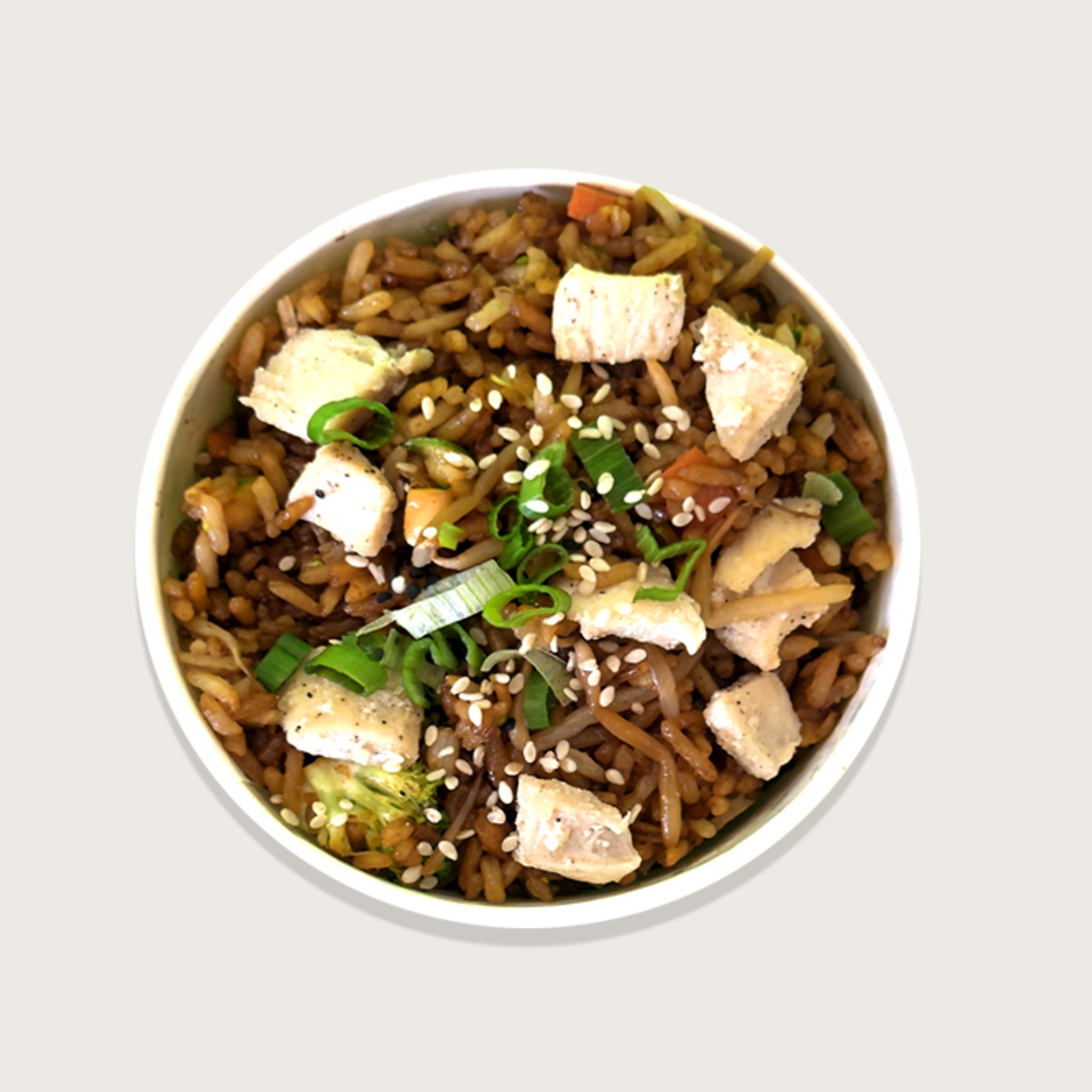 YAKIMESHI POLLO_0