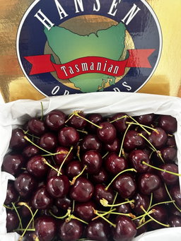 500G Australia Tasmania Hansen Lapin Cherry 30mm