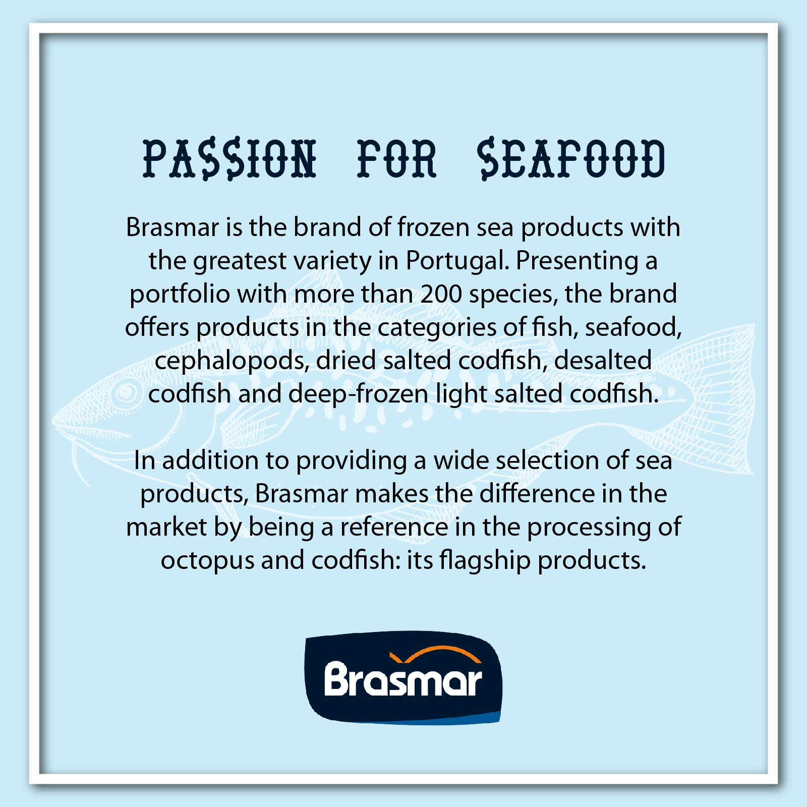 BRASMAR Squid Cleaned Pantagonia Selecao 900G_2