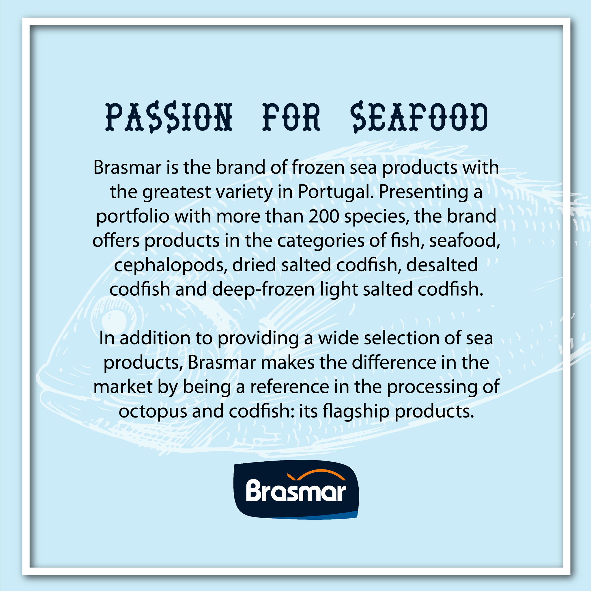 BRASMAR Jumbo Squid Tentacles 1KG_2