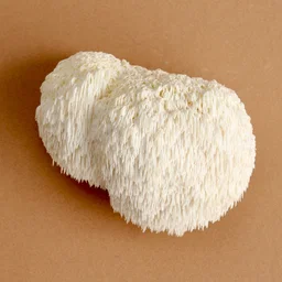 SPORE GARDENS Lion Mane Mushroom 200G