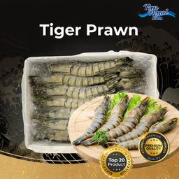 PAN ROYAL Black Tiger Prawn HOSO 16/20 - 1KG