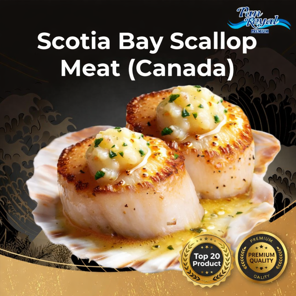 PAN ROYAL Scotia Bay Scallop Meat 16/20 - 1KG