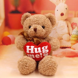 Hug Me Teddy Bear 