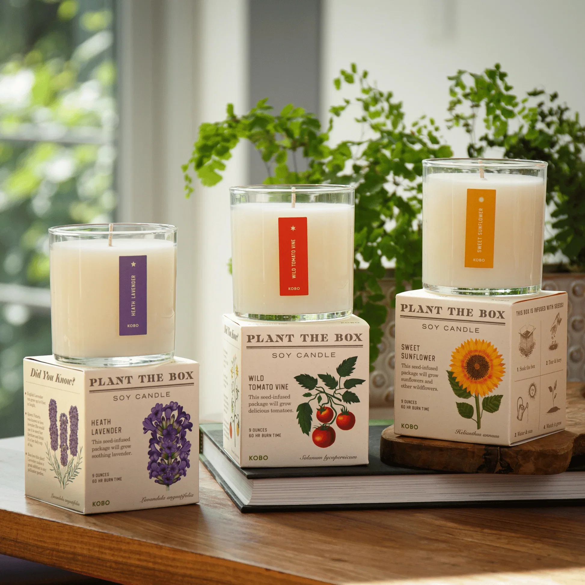 1309 BOX CANDLE Each _0