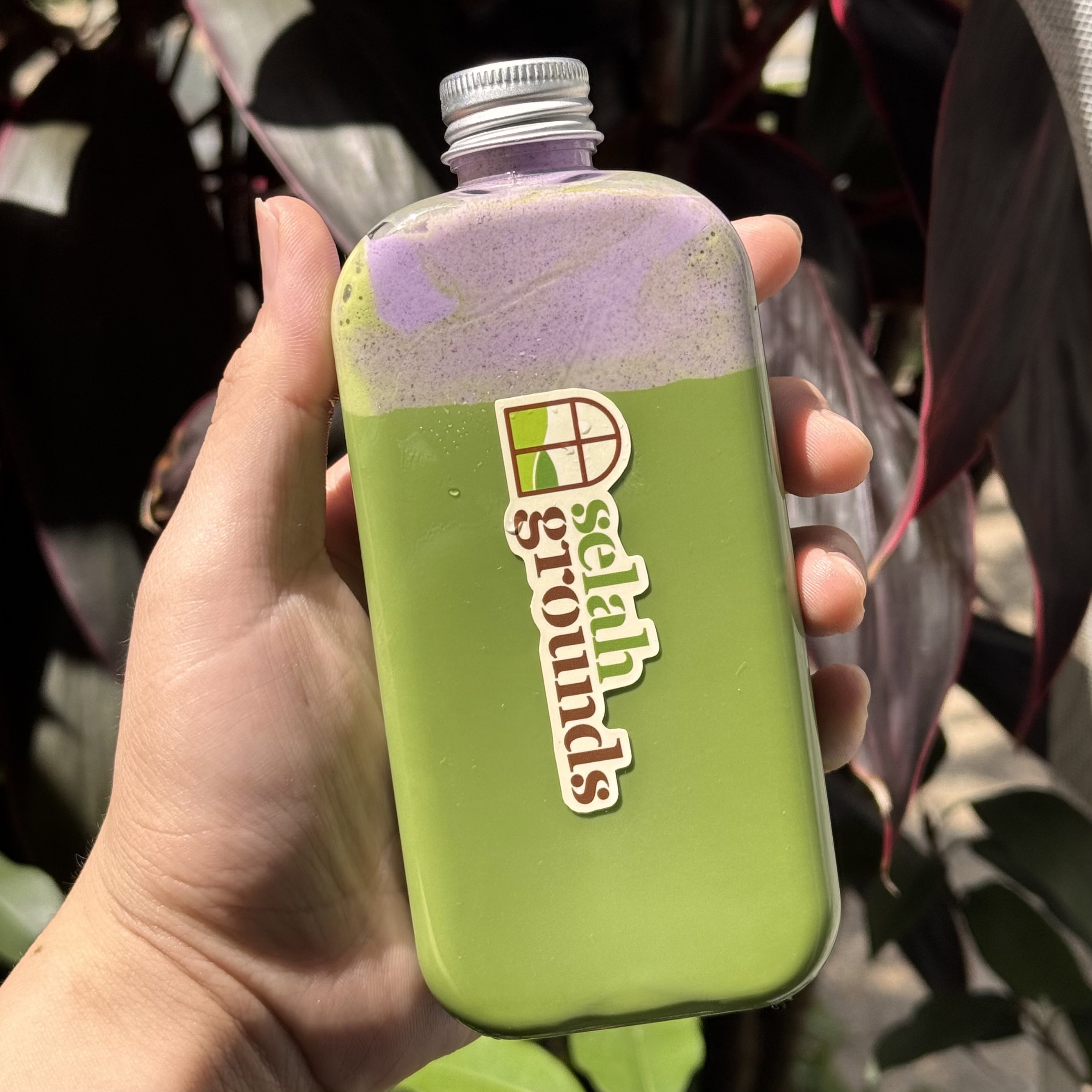 Matcha Taro Cloud_1