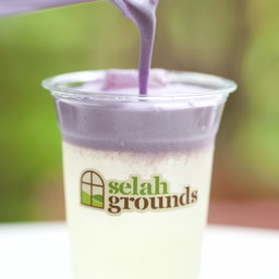 Coconut Taro Cloud
