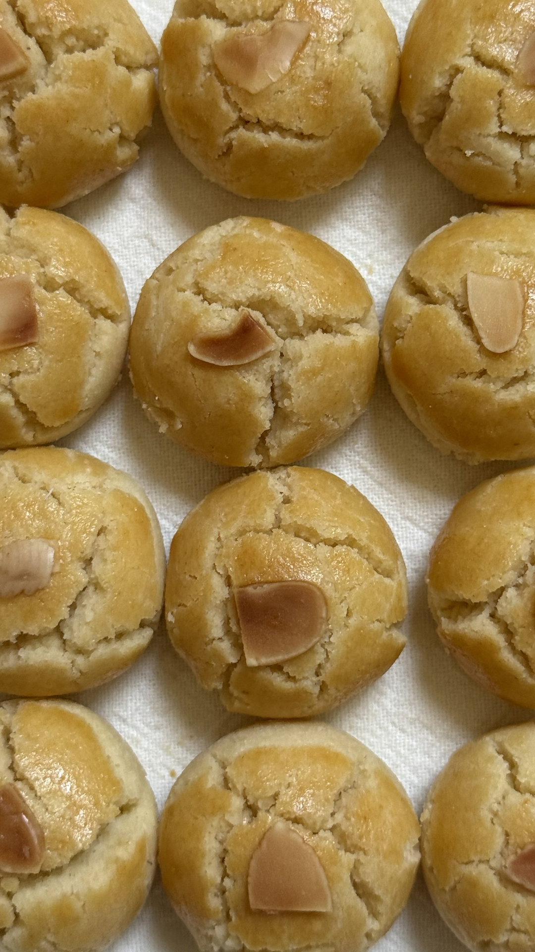 Nutty Town cookies (Almond)
