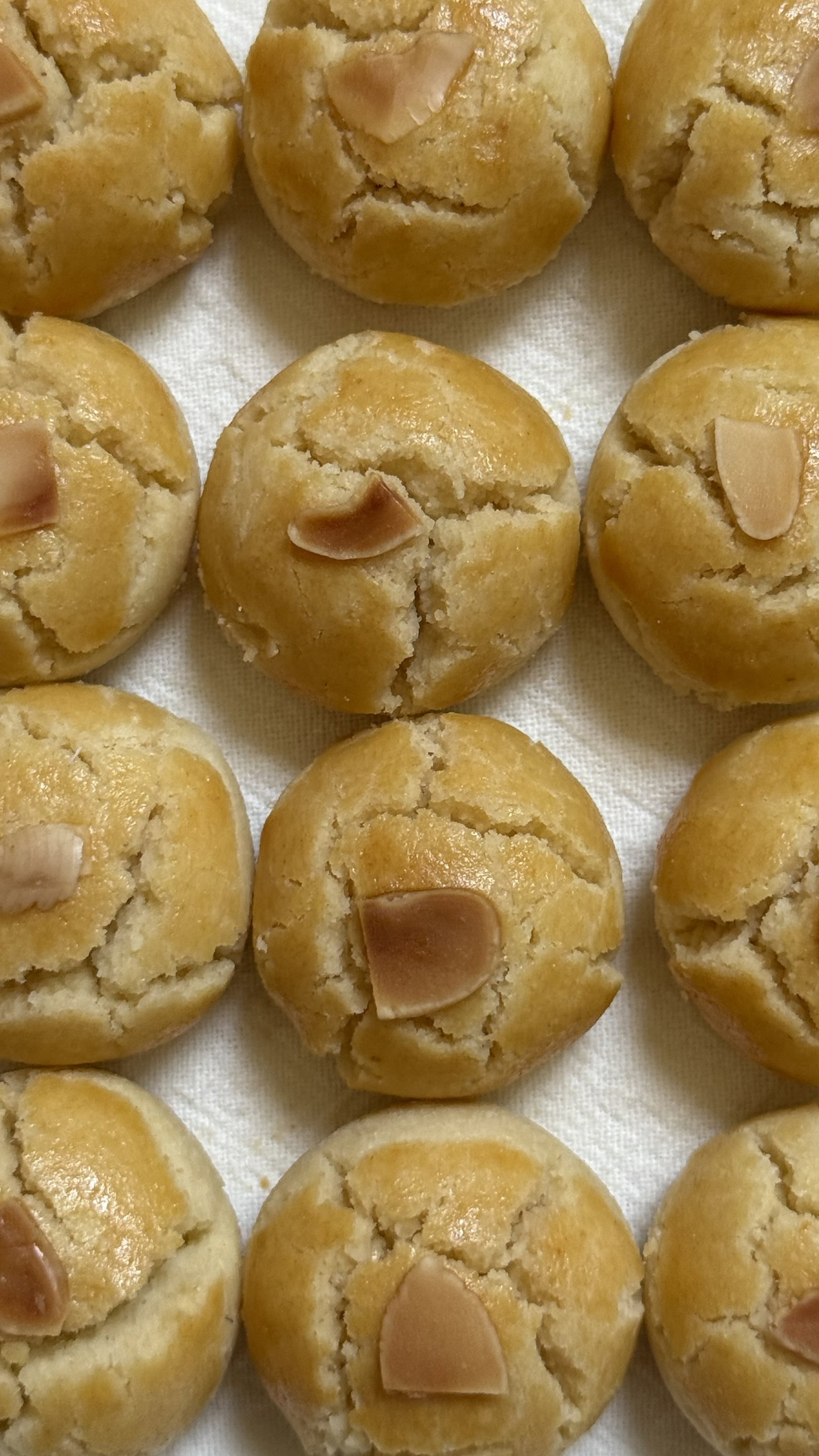 Nutty Town cookies (Almond)_0