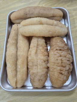 Gold Teat Sea Cucumber 金猪母参