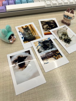 Inspired Polaroid