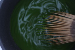 Hinagiku (雛菊)