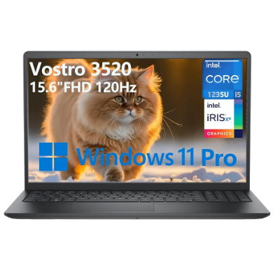 Dell Vostro 3500_0