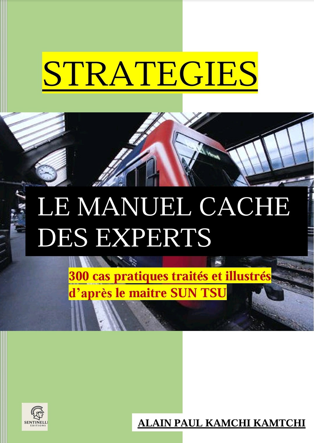 STRATEGIES:LE MANUEL CACHE DES EXPERTS_0