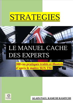 STRATEGIES:LE MANUEL CACHE DES EXPERTS