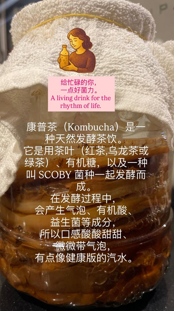 KOMBUCHA_1