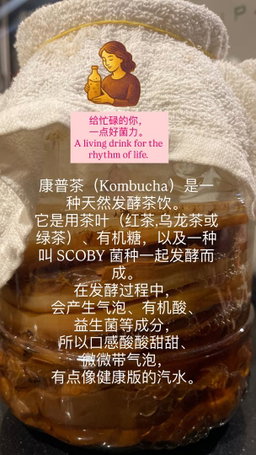KOMBUCHA