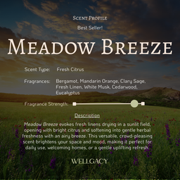 Wellgacy Signature Aura Reed