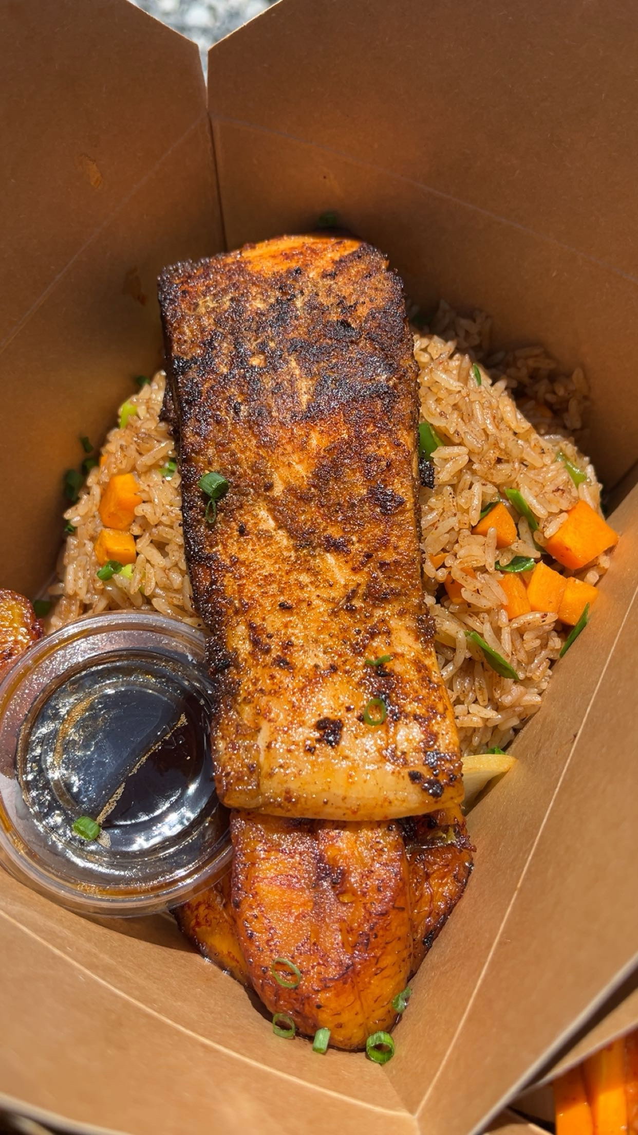 Norwegian salmon fillet _1