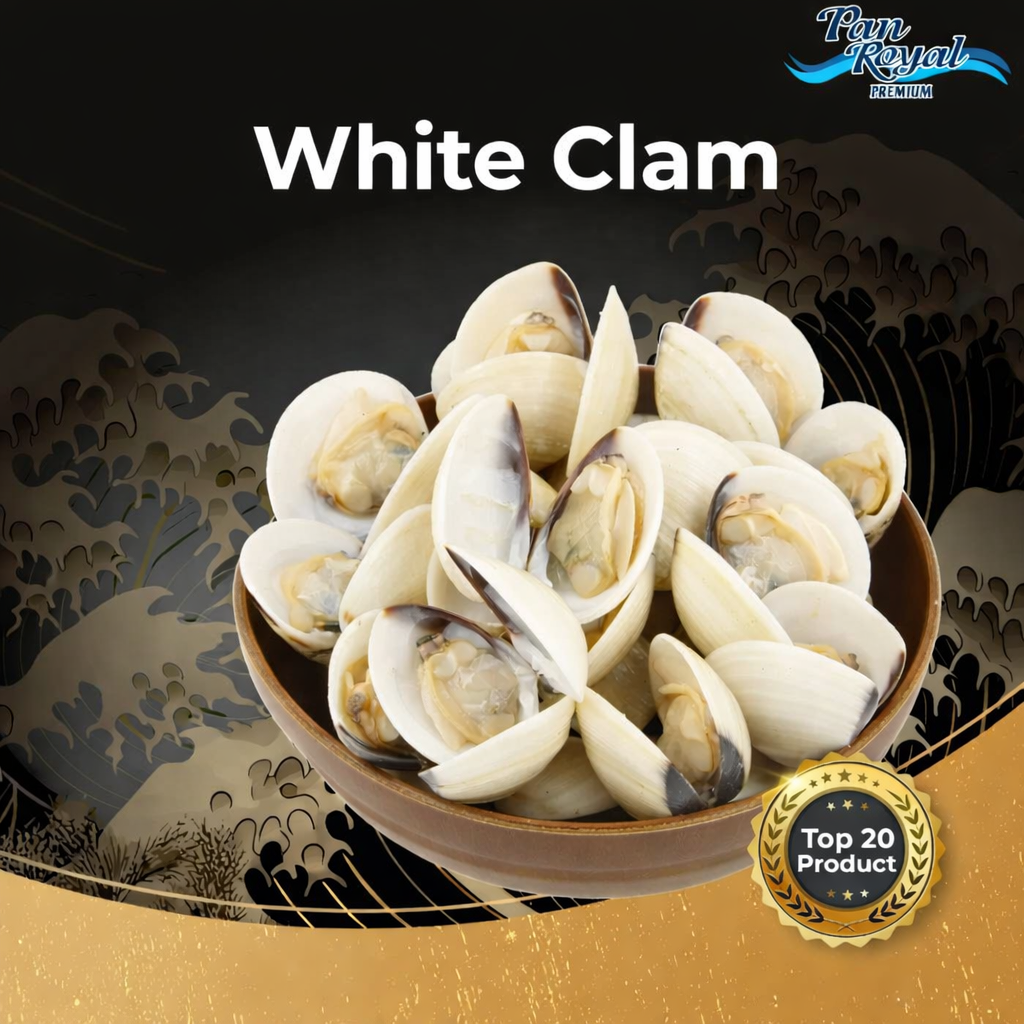 PAN ROYAL White Clam With Shell 40/60 - 1KG