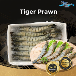 PAN ROYAL Black Tiger Prawn HOSO 13/15 - 1KG