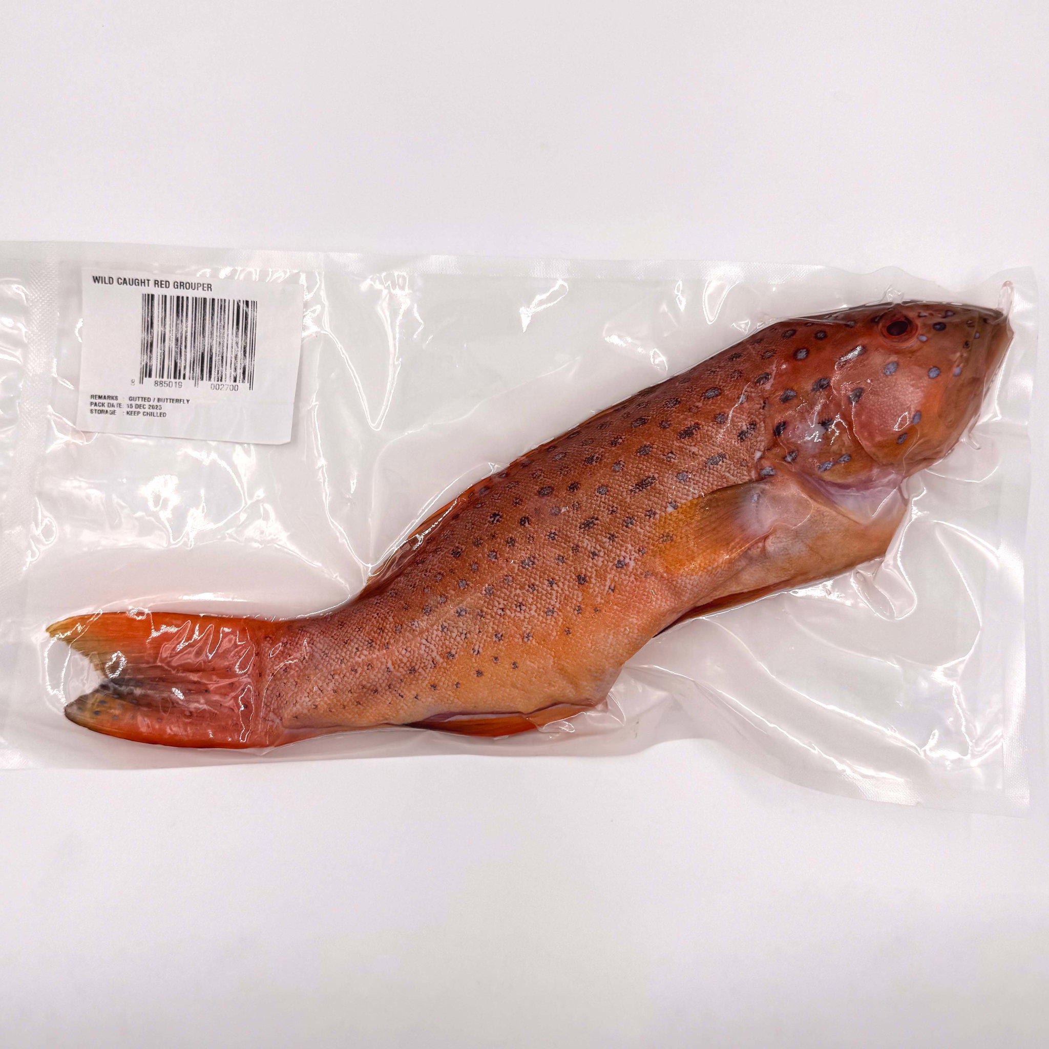 Wild Caught Red Grouper Gutted/butterfly 650G_0