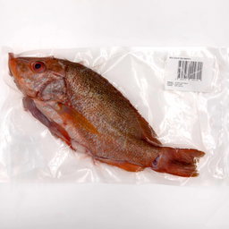 Wild Caught Red Snapper Gutted/butterfly 650G