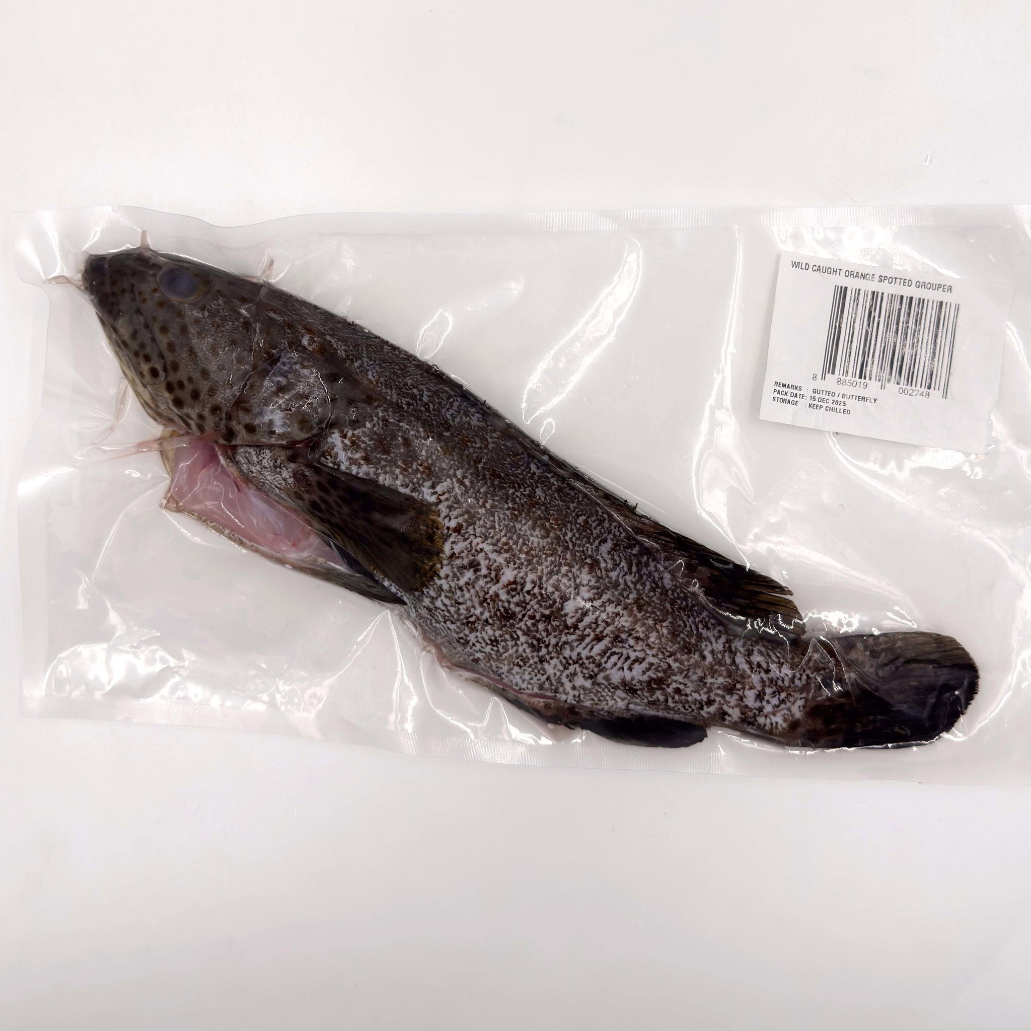 Wild Caught Orange Spotted Grouper Gutted/butterfly 650G_0