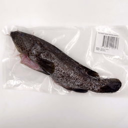 Wild Caught Orange Spotted Grouper Gutted/butterfly 650G