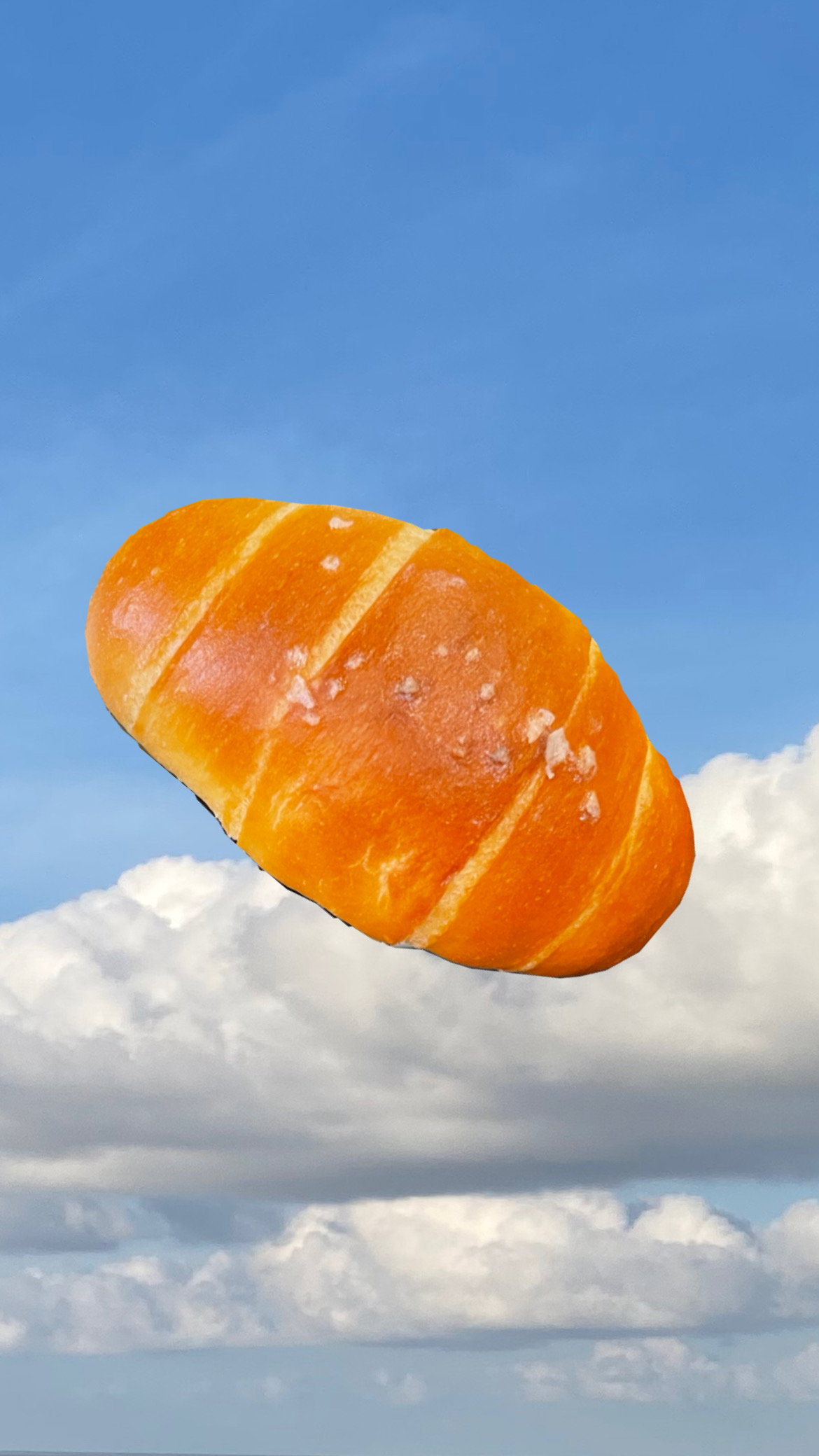 OG Salt Bread _0
