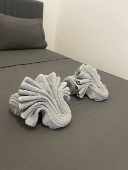 Tussenschoonmaak / Mid-Cleaning