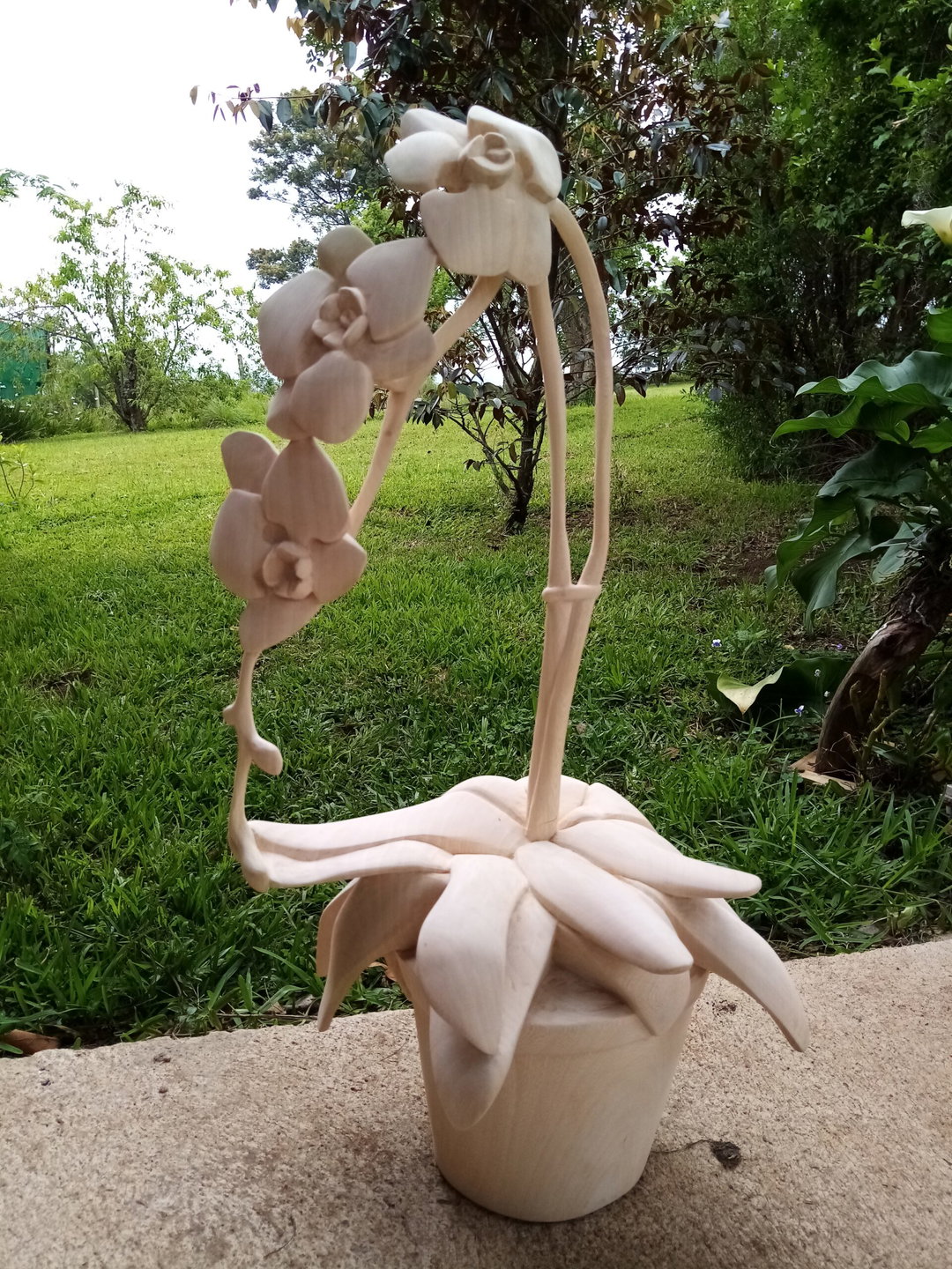 Hohodza Orchid flower sculpture