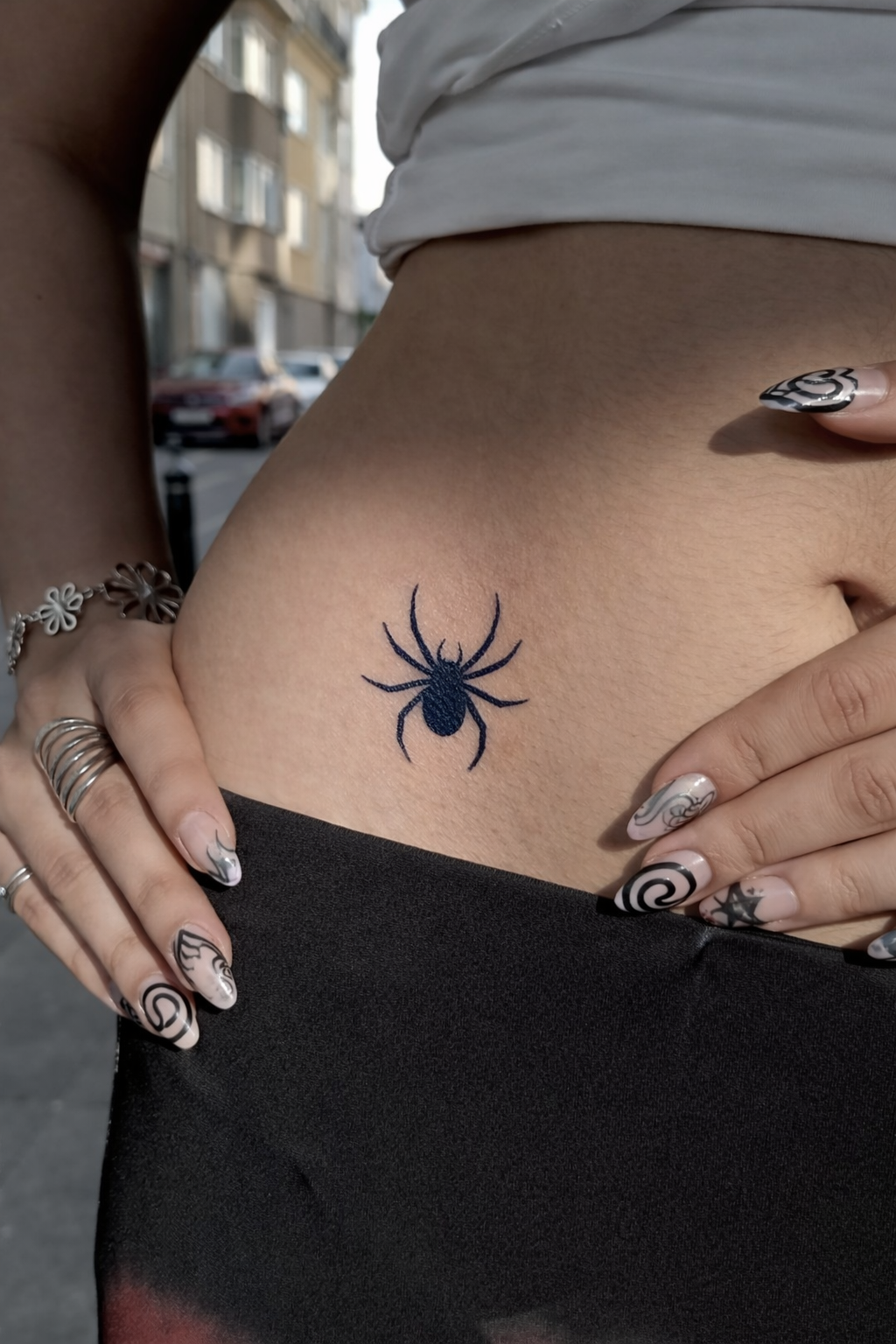 Araña Guardiana_1