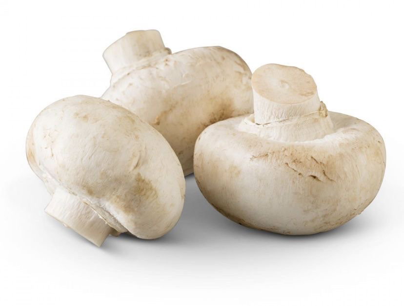 Hongos Blancos_0